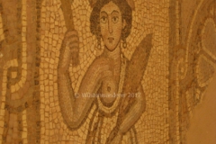 gal_jordan17_041a