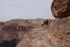 gal_jordan17_048