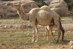 gal_jordan17_056