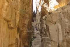 gal_jordan17_061a
