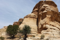 gal_jordan17_062