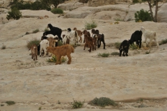 gal_jordan17_079