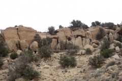 gal_jordan17_082