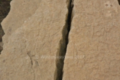 gal_jordan17_086