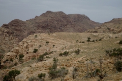gal_jordan17_088