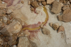 gal_jordan17_108
