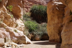 gal_jordan17_138