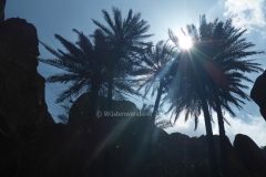 gal_jordan17_141