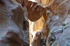 gal_jordan17_147