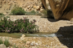 gal_jordan17_163