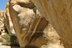 gal_jordan17_164