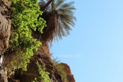 gal_jordan17_173