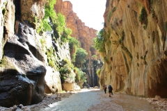 gal_jordan17_174