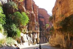 gal_jordan17_176