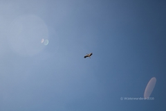 gal_maroc18_020_015ES