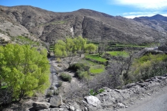 gal_maroc18_028_015CK