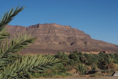 gal_maroc18_035_034LR