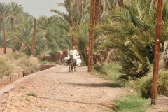 gal_maroc18_053_042MR