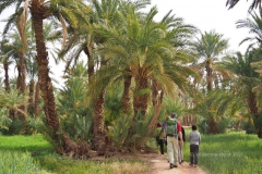 gal_maroc18_054_040LR