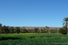 gal_maroc18_055_012HS