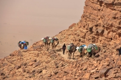 gal_maroc18_067_048MR