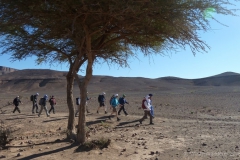 gal_maroc18_82_021HS