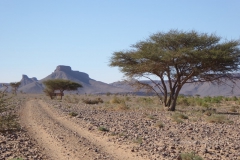 gal_maroc18_83_062VB