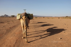 gal_maroc18_85_052MR