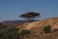 gal_maroc18_88_047LR