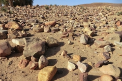 gal_maroc18_89_006MD