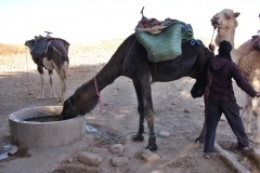 gal_maroc18_92_054MR