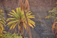 gal_maroc18_94_055MR
