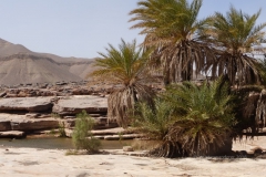 gal_maroc18_103_056SB