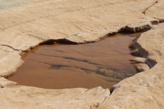 gal_maroc18_115_060LR