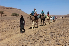 gal_maroc18_122_018MD