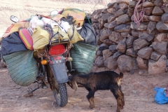 gal_maroc18_133_006EH