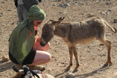 gal_maroc18_137_047CK