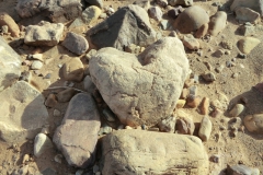 gal_maroc18_139_024MD