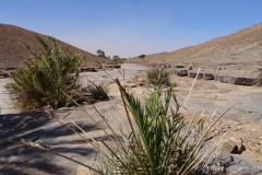 gal_maroc18_99_025MS