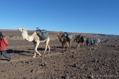gal_maroc18_146_039HS
