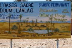 gal_maroc18_151_041MS
