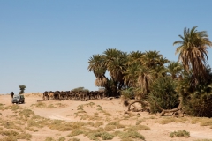 gal_maroc18_154_121NB