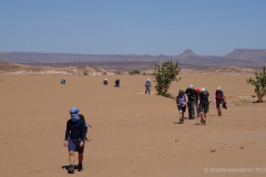 gal_maroc18_157_048MS