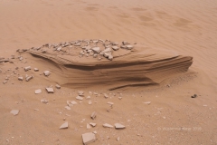 gal_maroc18_167_071LR