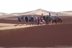 gal_maroc18_170_054MS