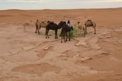 gal_maroc18_178_055KU