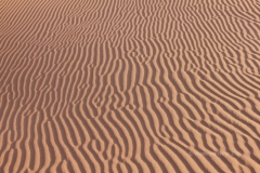 gal_maroc18_191_116MR