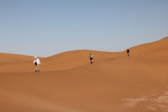 gal_maroc18_204_125MR