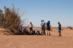 gal_maroc18_205_155NB