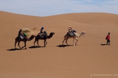 gal_maroc18_207_085MS